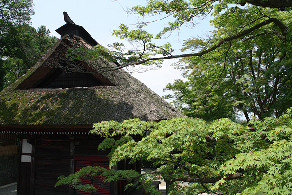b0147624_91776.jpg