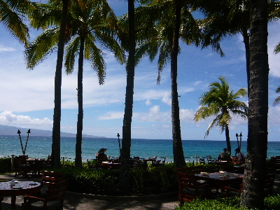 f0005826_1914824.jpg