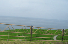 e0096331_1238353.gif