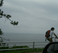 e0096331_12391789.gif
