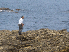 e0096331_13112654.gif