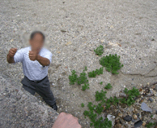 e0096331_13224098.gif