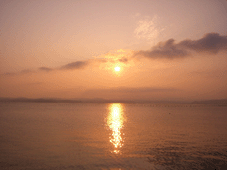 e0096331_1423542.gif