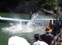 d0017632_10345223.jpg