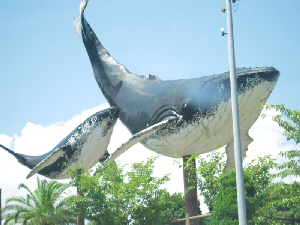 d0017632_8234678.jpg