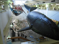 d0017632_953243.jpg