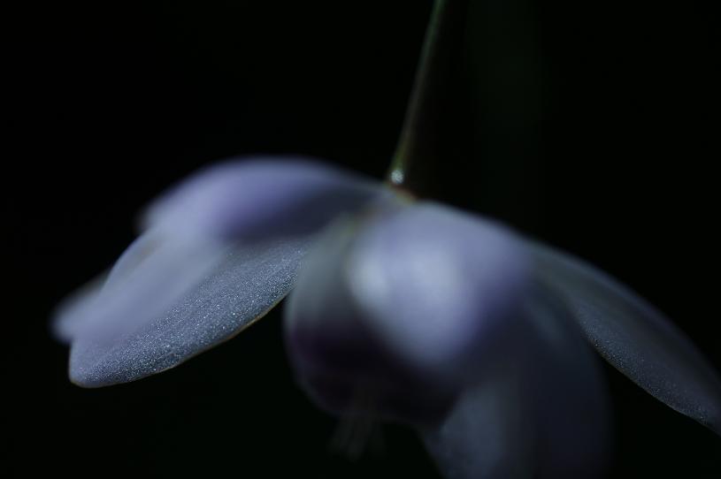 e0095142_2122628.jpg