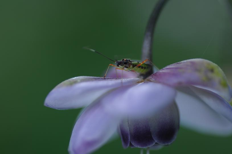 e0095142_2143150.jpg