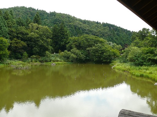 b0088444_22265569.jpg