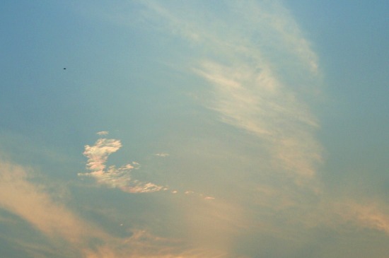 e0126350_11591770.jpg