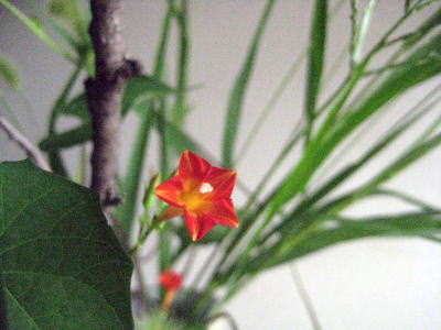 c0147952_16103210.jpg