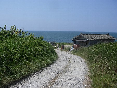 a0056654_12415964.jpg