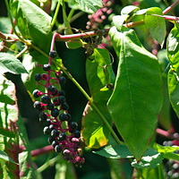 b0087456_9241641.jpg