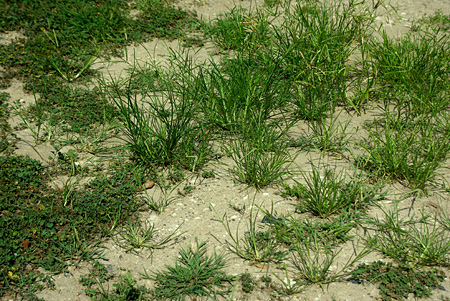 b0087456_9395964.jpg