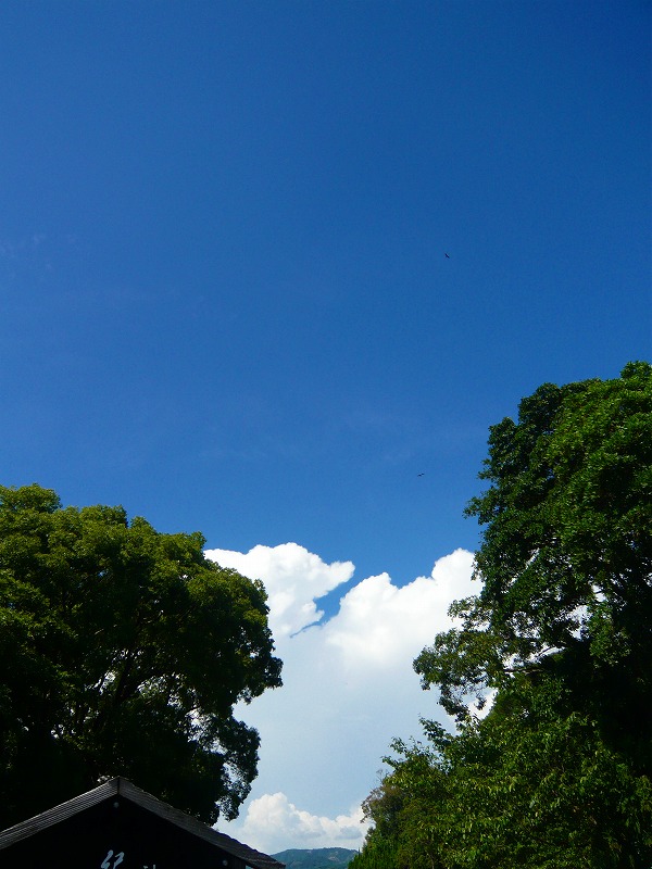 a0017161_1565272.jpg