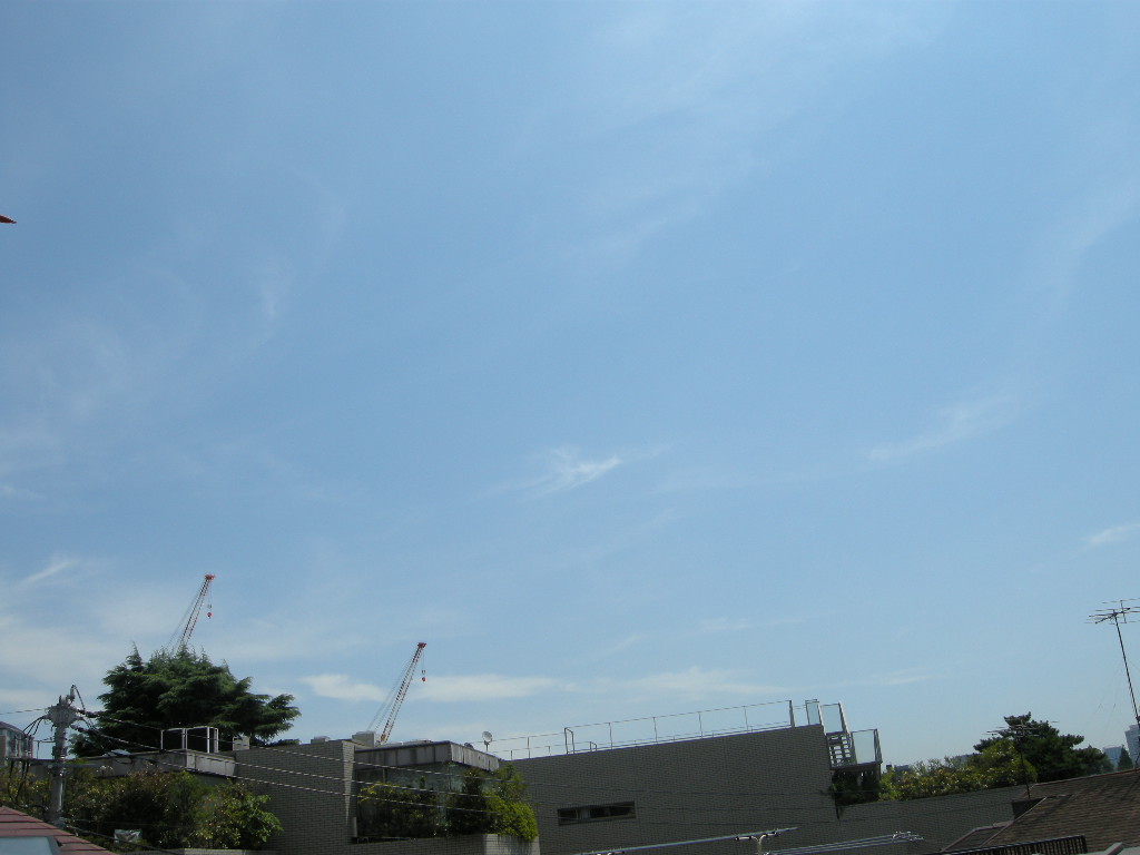 c0080861_11414766.jpg