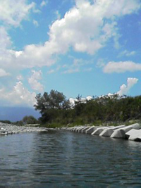 c0162963_1934239.jpg