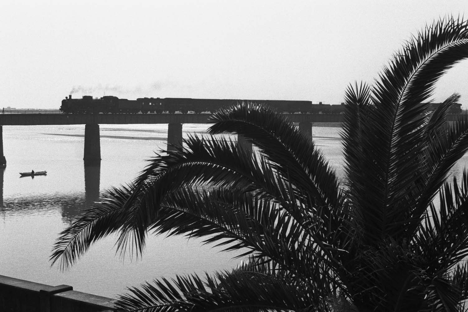 e0019563_1448423.jpg