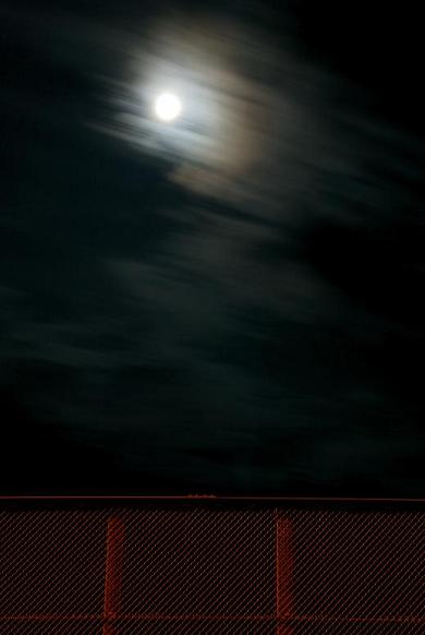 f0052569_92145.jpg