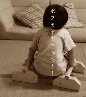 黒糖生地でチョコチップのお花パン＆黒糖ロール_a0105872_359152.jpg