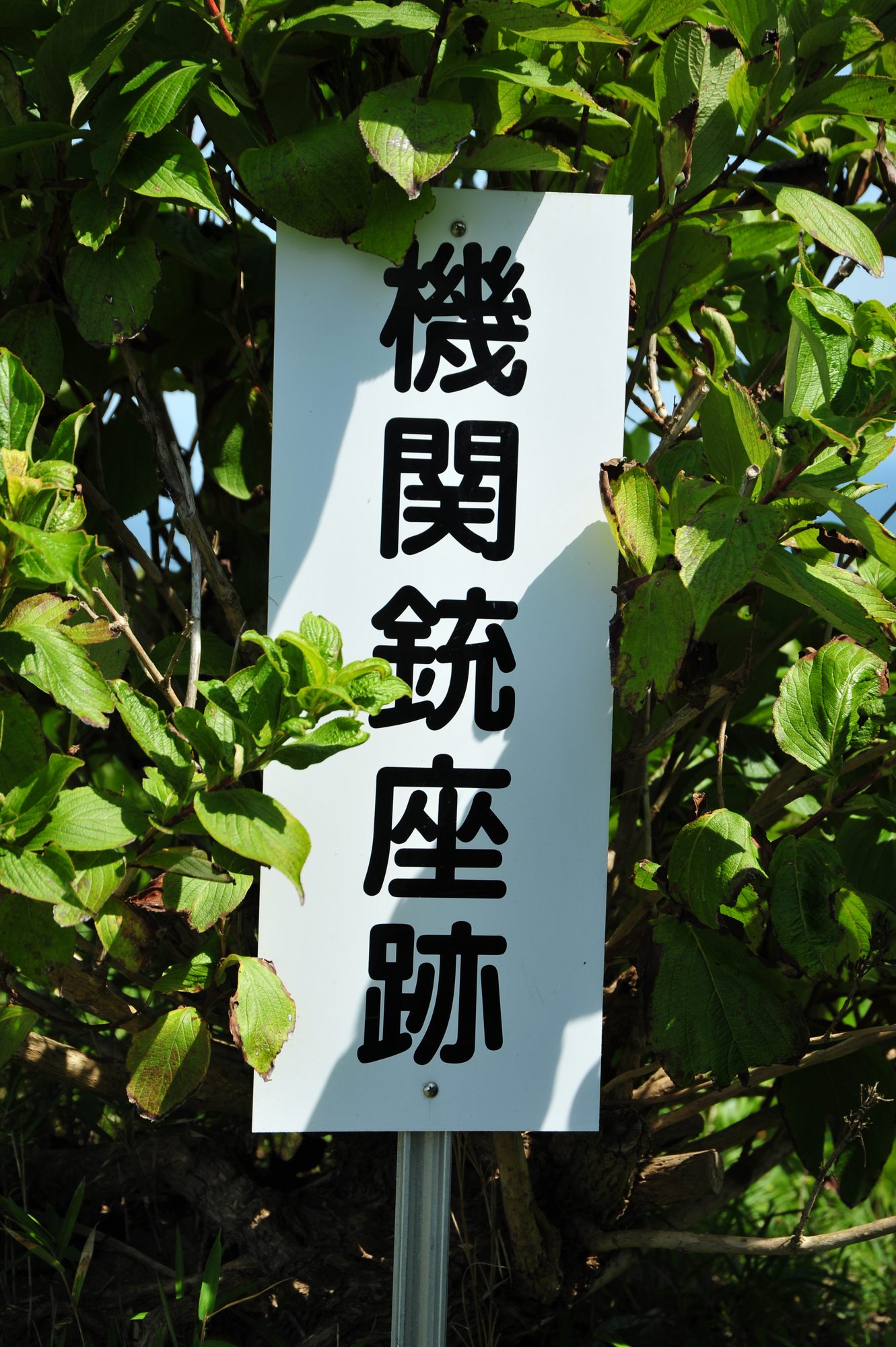 e0071178_16253698.jpg