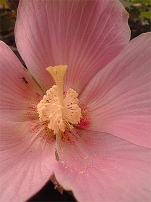 f0089079_103630.jpg