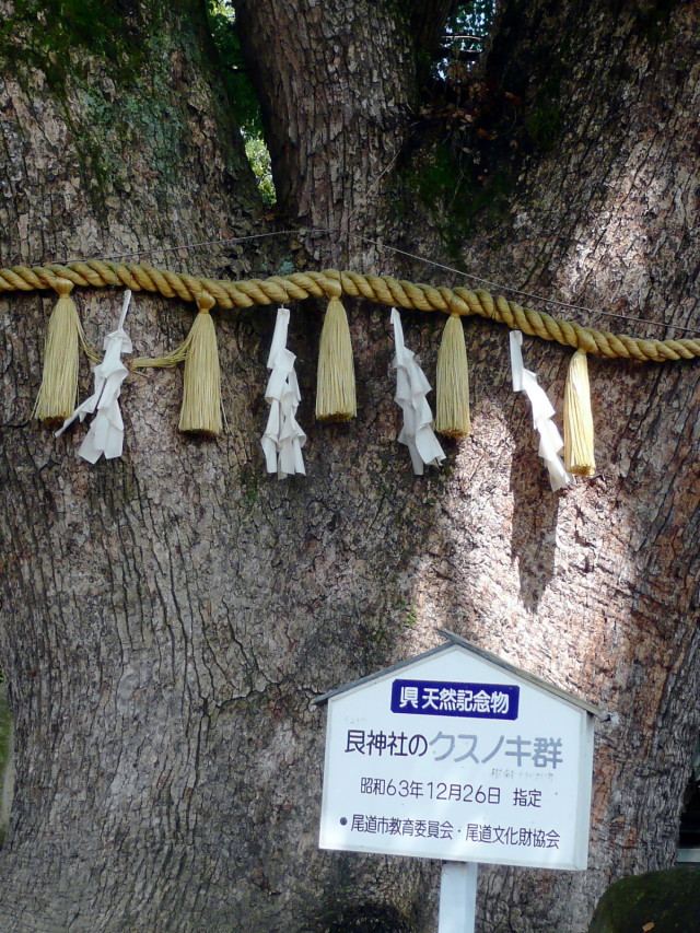 尾道の旅（艮神社と妙宣寺）_d0079081_13375259.jpg