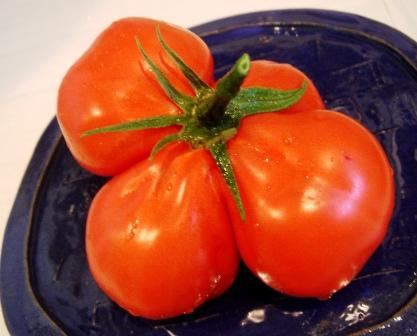 牛の心臓トマト Rinderherz Tomaten 三度のメシより Sando No Meshi Yori