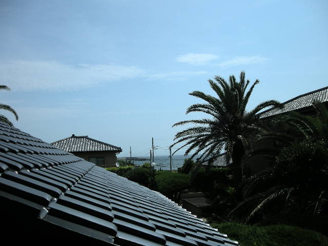 c0151691_8431840.jpg