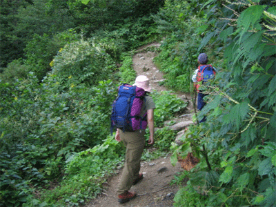 b0108100_18175323.gif