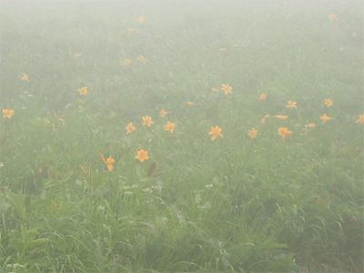 b0108100_18195585.gif