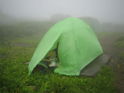 b0108100_18205877.gif