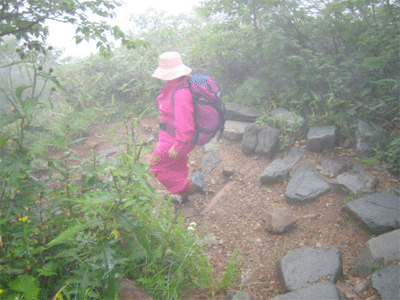 b0108100_1825548.gif