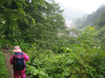 b0108100_18263864.gif