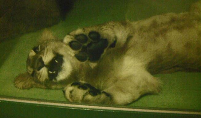 c0155902_1134938.jpg