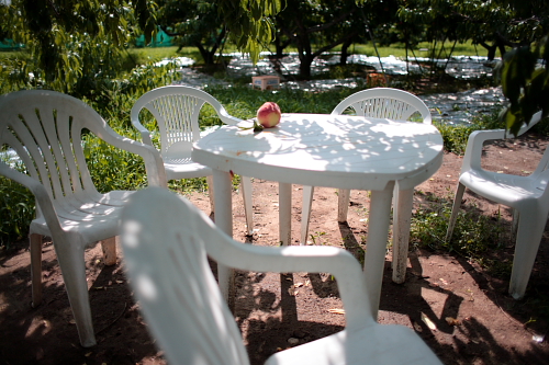 b0155903_8233068.jpg
