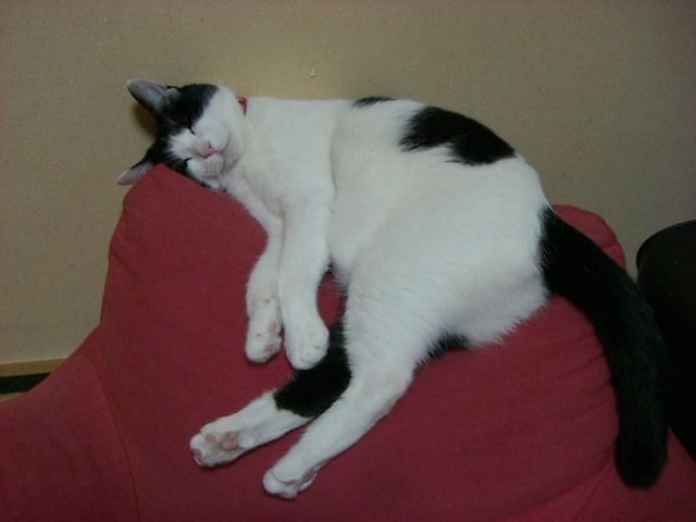 e0129411_20173195.jpg