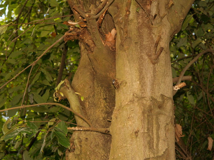 c0116915_1234350.jpg