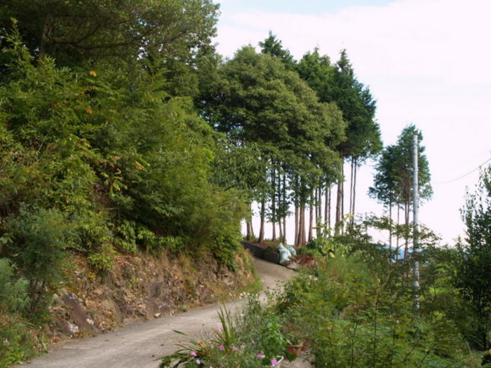c0116915_12365858.jpg