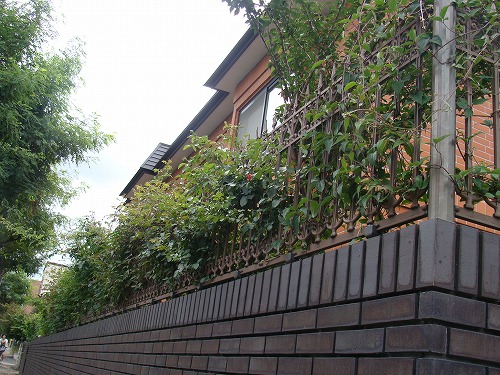 f0170524_130533.jpg