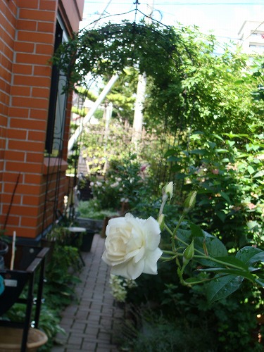 f0170524_13244067.jpg
