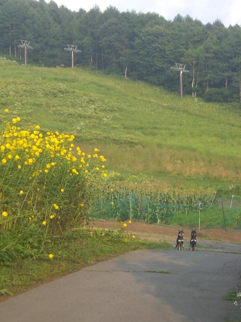 e0025240_1849055.jpg