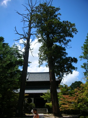 宝福寺_b0008241_1004496.jpg