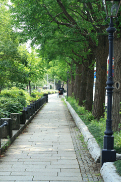f0134642_22512052.gif