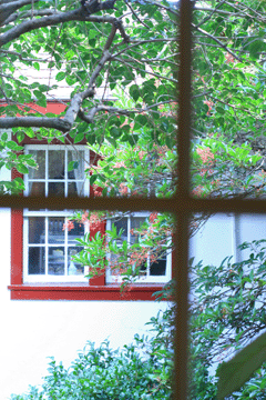 f0134642_22552535.gif