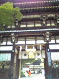 d0007957_012841.jpg