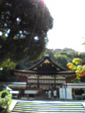 d0007957_015084.jpg