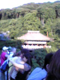 d0007957_095189.jpg