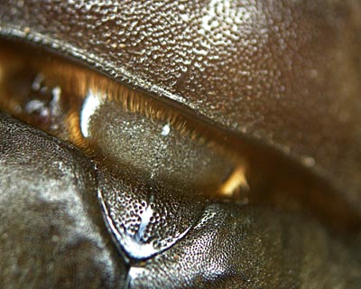 e0035757_23122273.jpg