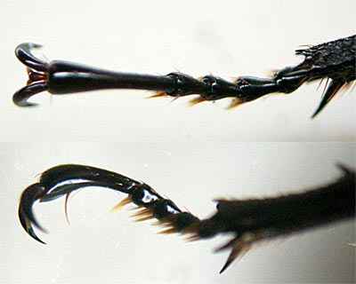 e0035757_2333468.jpg
